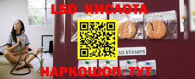 крисы Владимир