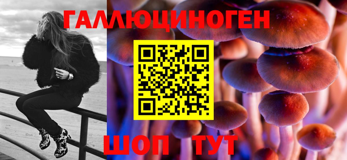 Псилоцибиновые грибы Psilocybe Серов